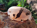 Polished Flower Agate Palm Stones x 12 From Antsahalova, Madagascar - Toprock Gemstones and Minerals 