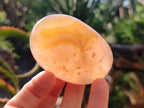 Polished Flower Agate Palm Stones x 12 From Antsahalova, Madagascar - Toprock Gemstones and Minerals 