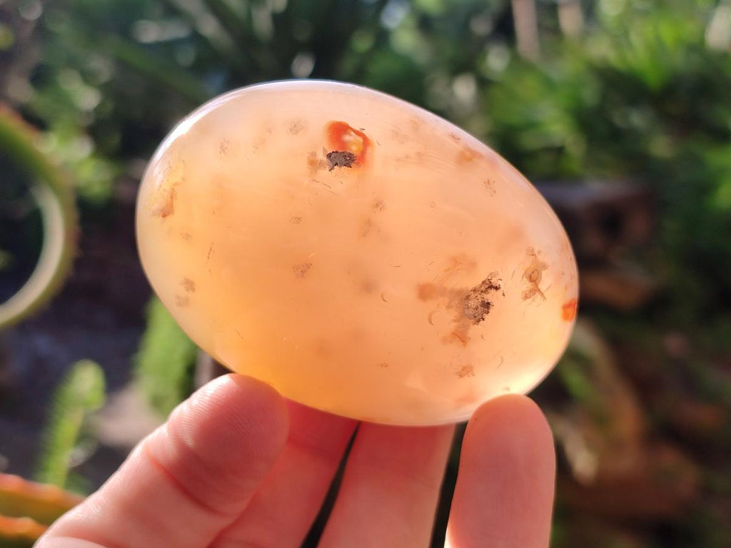 Polished Flower Agate Palm Stones x 12 From Antsahalova, Madagascar - Toprock Gemstones and Minerals 
