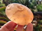 Polished Flower Agate Palm Stones x 12 From Antsahalova, Madagascar - Toprock Gemstones and Minerals 