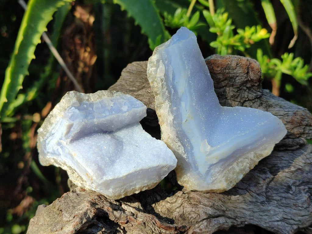 Natural Blue Lace Agate Geode Specimens x 35 From Nsanje, Malawi - Toprock Gemstones and Minerals 