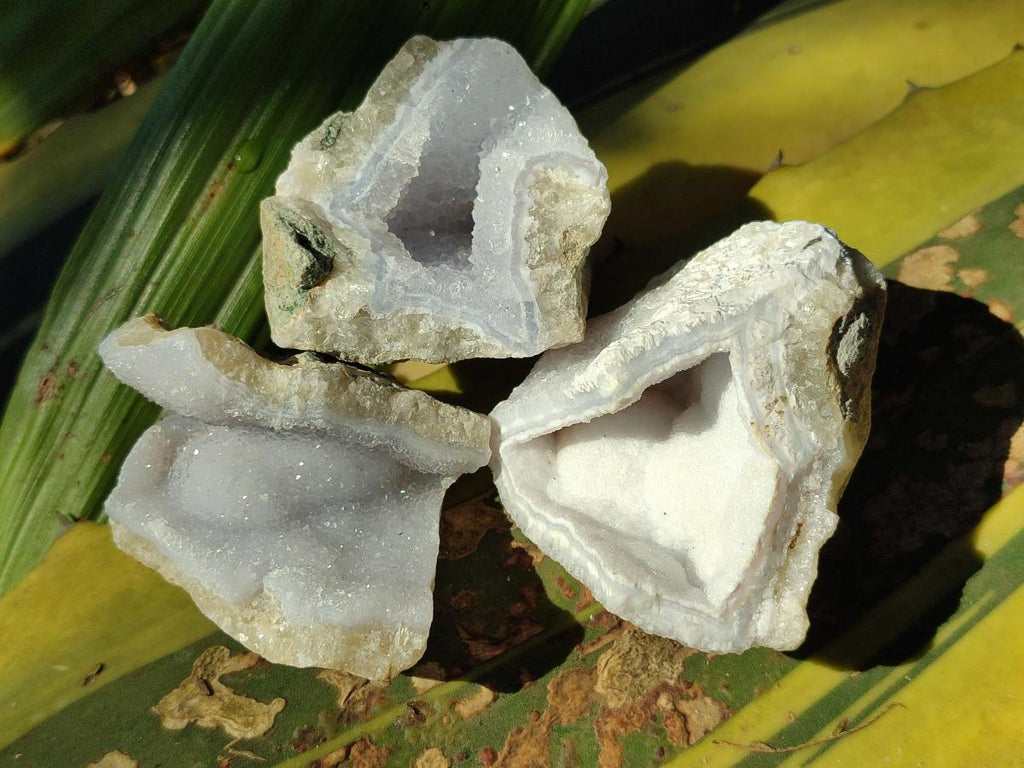 Natural Blue Lace Agate Geode Specimens x 35 From Nsanje, Malawi - Toprock Gemstones and Minerals 