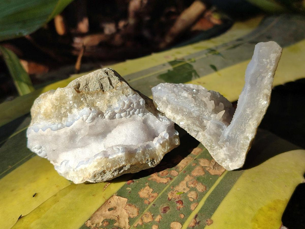 Natural Blue Lace Agate Geode Specimens x 35 From Nsanje, Malawi - Toprock Gemstones and Minerals 