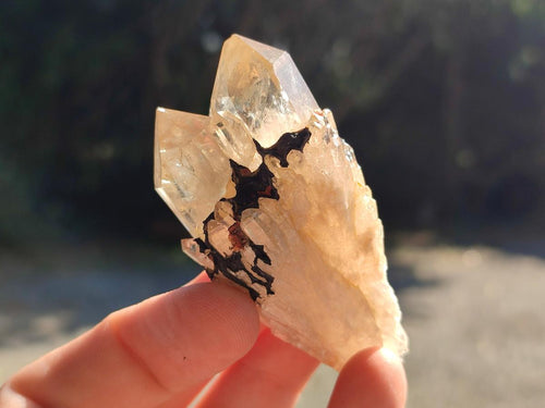 Natural Smokey Cascading Phantom Quartz Clusters x 18 From Luena, Congo - Toprock Gemstones and Minerals 