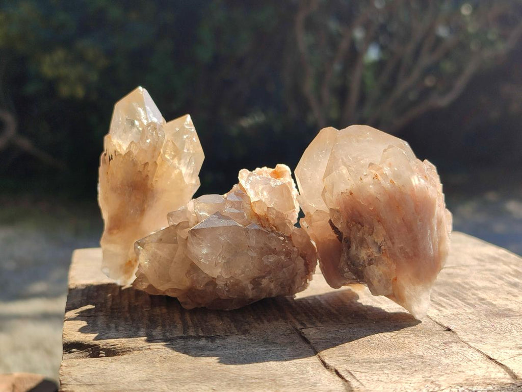 Natural Smokey Cascading Phantom Quartz Clusters x 18 From Luena, Congo - Toprock Gemstones and Minerals 