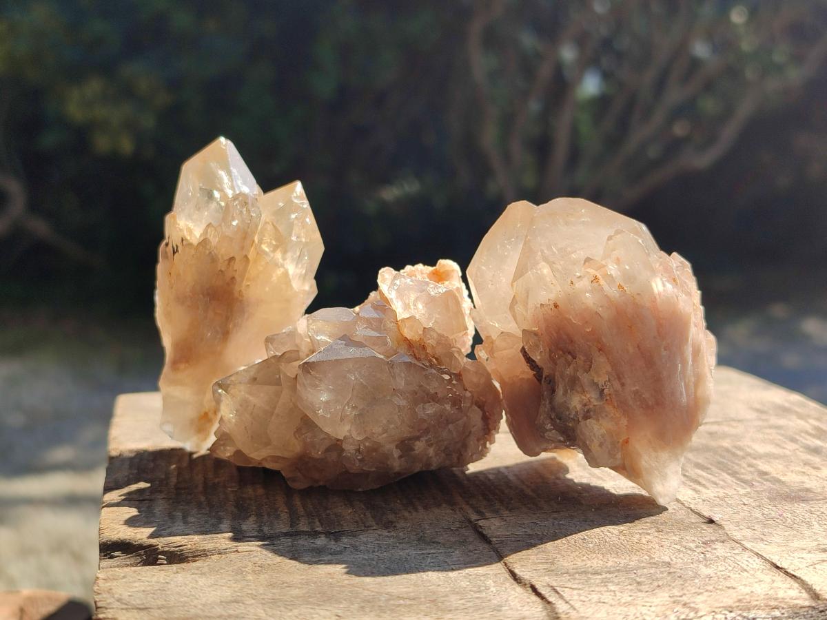 Natural Smokey Cascading Phantom Quartz Clusters x 18 From Luena, Congo - Toprock Gemstones and Minerals 