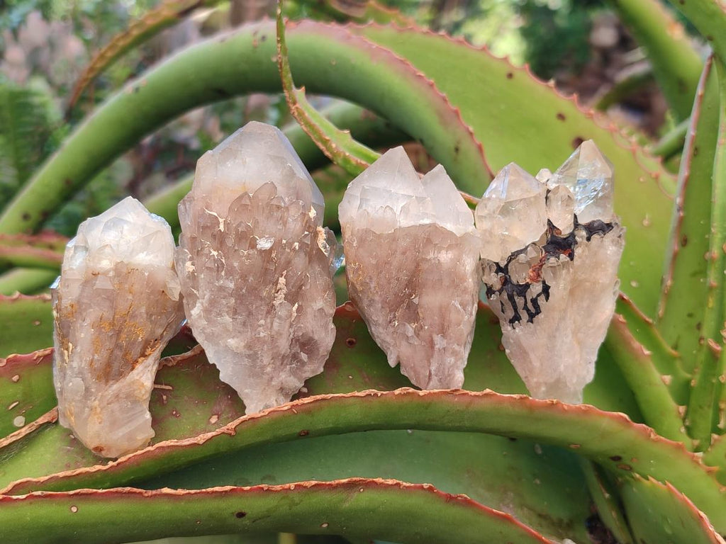 Natural Smokey Cascading Phantom Quartz Clusters x 18 From Luena, Congo - Toprock Gemstones and Minerals 
