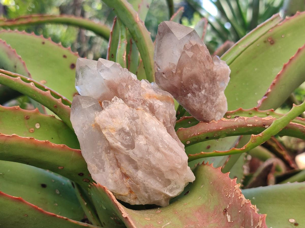 Natural Smokey Cascading Phantom Quartz Clusters x 18 From Luena, Congo - Toprock Gemstones and Minerals 