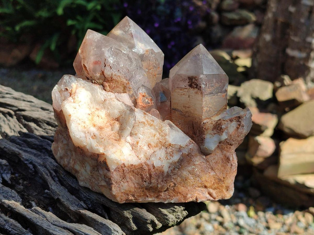 Polished Large Red Hematoid Quartz Cluster x 1 From Karoi, Zimbabwe - Toprock Gemstones and Minerals 
