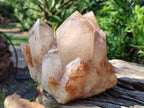 Polished Large Red Hematoid Quartz Cluster x 1 From Karoi, Zimbabwe - Toprock Gemstones and Minerals 