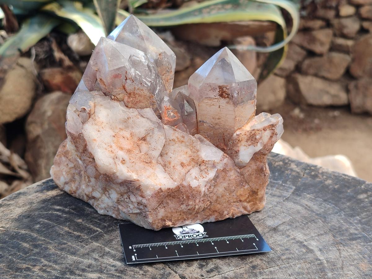 Polished Large Red Hematoid Quartz Cluster x 1 From Karoi, Zimbabwe - Toprock Gemstones and Minerals 