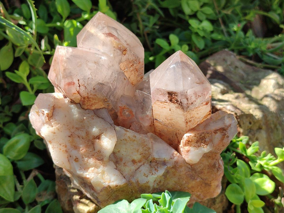 Polished Large Red Hematoid Quartz Cluster x 1 From Karoi, Zimbabwe - Toprock Gemstones and Minerals 
