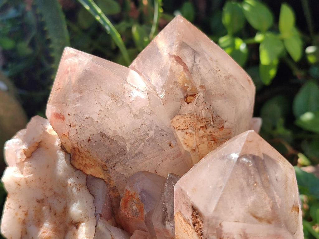 Polished Large Red Hematoid Quartz Cluster x 1 From Karoi, Zimbabwe - Toprock Gemstones and Minerals 