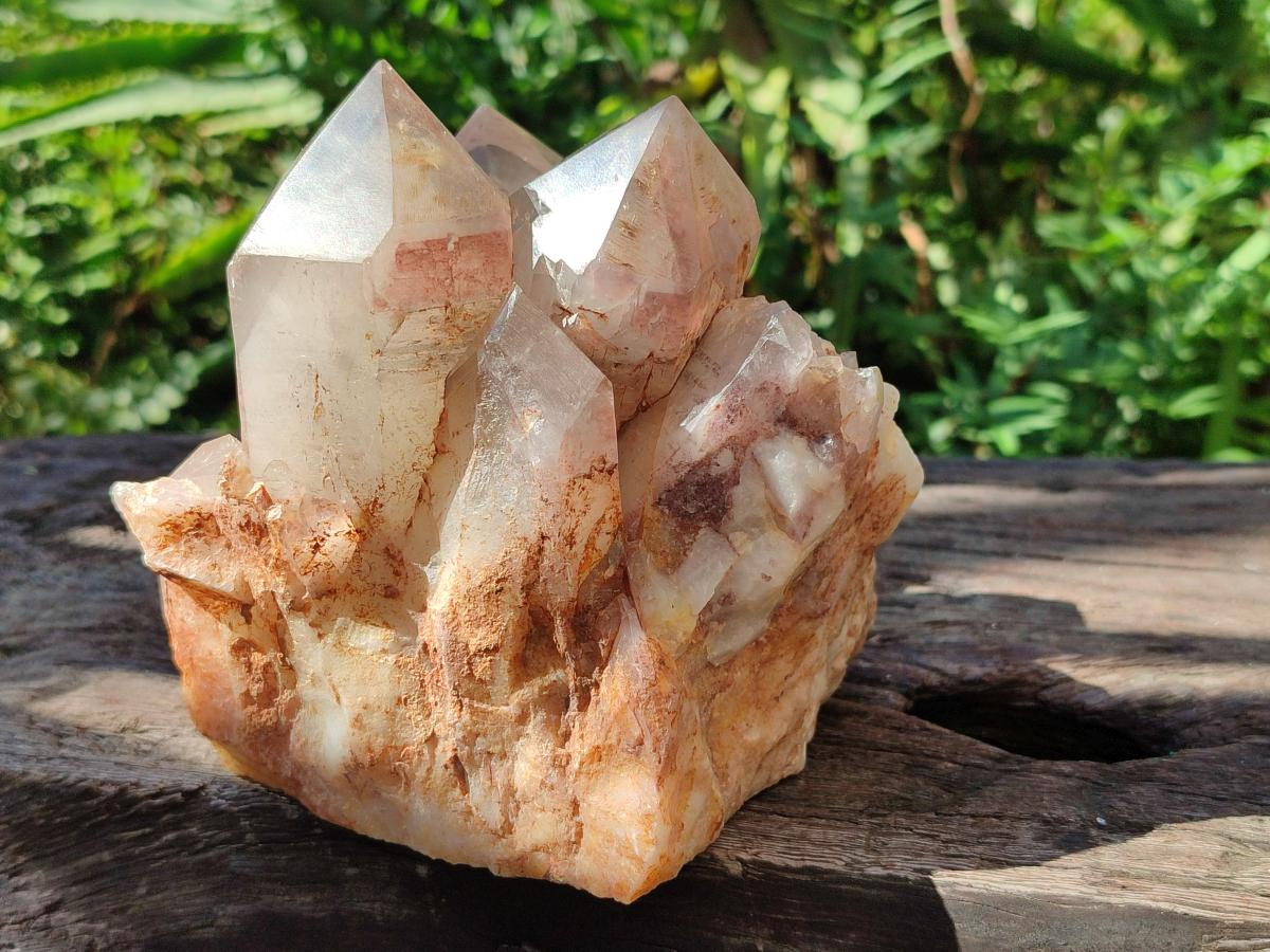 Polished Large Red Hematoid Quartz Cluster x 1 From Karoi, Zimbabwe - Toprock Gemstones and Minerals 