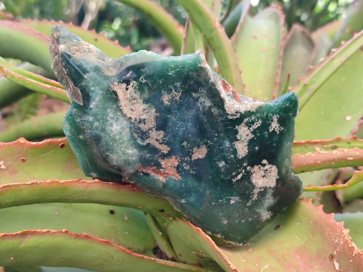 Polished On One Side Mtorolite Chrysoprase Plates x 4 From Mutorashanga, Zimbabwe - Toprock Gemstones and Minerals 