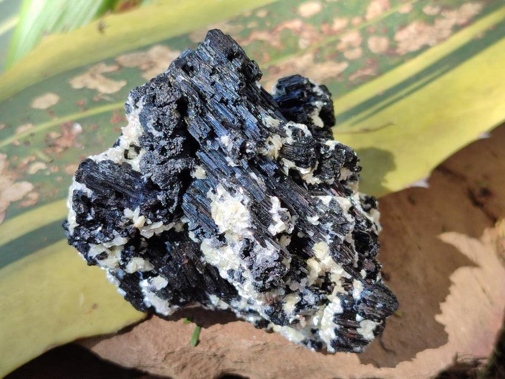 Natural Schorl Black Tourmaline with Feldspar Specimens x 6 From Erongo, Namibia - Toprock Gemstones and Minerals 