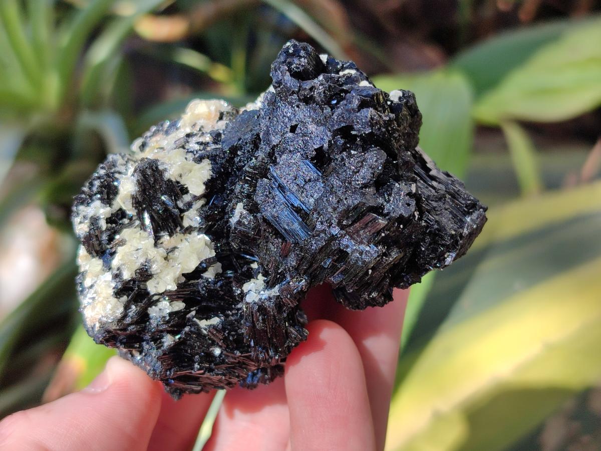 Natural Schorl Black Tourmaline with Feldspar Specimens x 6 From Erongo, Namibia - Toprock Gemstones and Minerals 