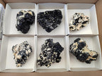 Natural Schorl Black Tourmaline with Feldspar Specimens x 6 From Erongo, Namibia - Toprock Gemstones and Minerals 
