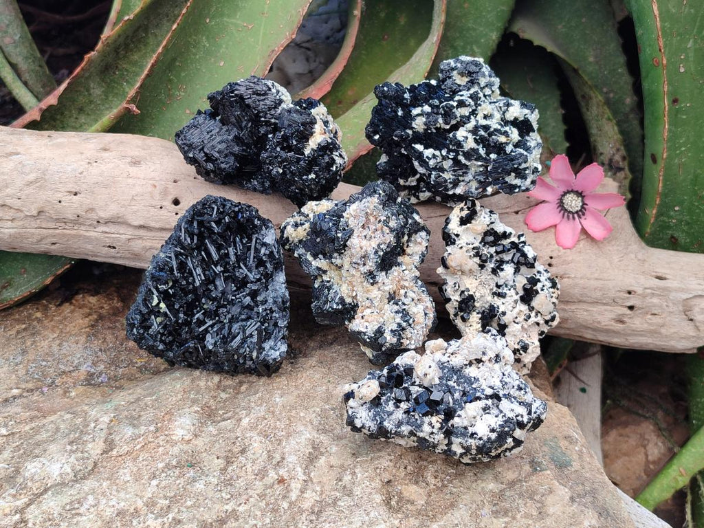 Natural Schorl Black Tourmaline with Feldspar Specimens x 6 From Erongo, Namibia - Toprock Gemstones and Minerals 
