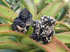 Natural Schorl Black Tourmaline with Feldspar Specimens x 6 From Erongo, Namibia - Toprock Gemstones and Minerals 