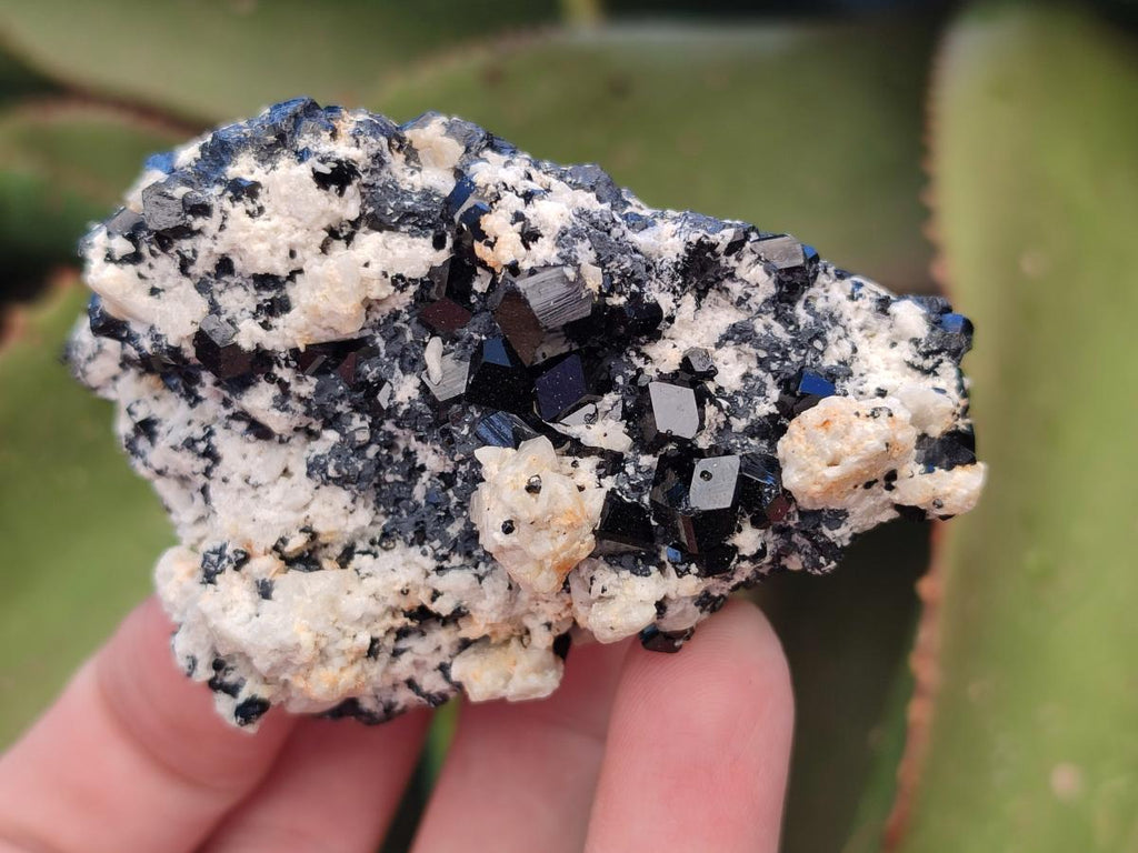 Natural Schorl Black Tourmaline with Feldspar Specimens x 6 From Erongo, Namibia - Toprock Gemstones and Minerals 