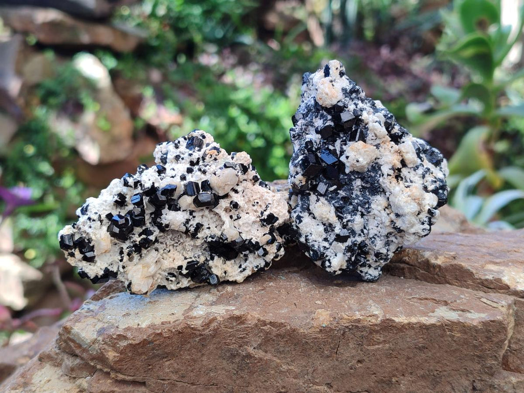 Natural Schorl Black Tourmaline with Feldspar Specimens x 6 From Erongo, Namibia - Toprock Gemstones and Minerals 