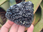 Natural Schorl Black Tourmaline with Feldspar Specimens x 6 From Erongo, Namibia - Toprock Gemstones and Minerals 