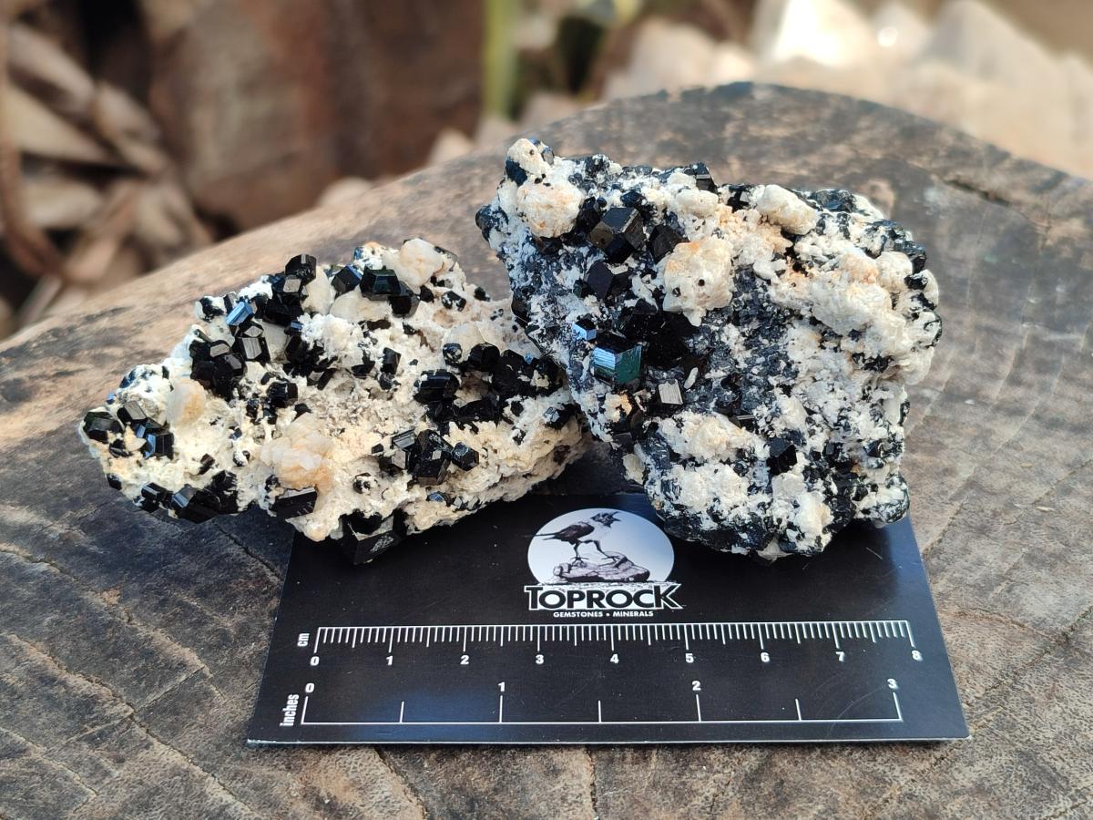 Natural Schorl Black Tourmaline with Feldspar Specimens x 6 From Erongo, Namibia - Toprock Gemstones and Minerals 