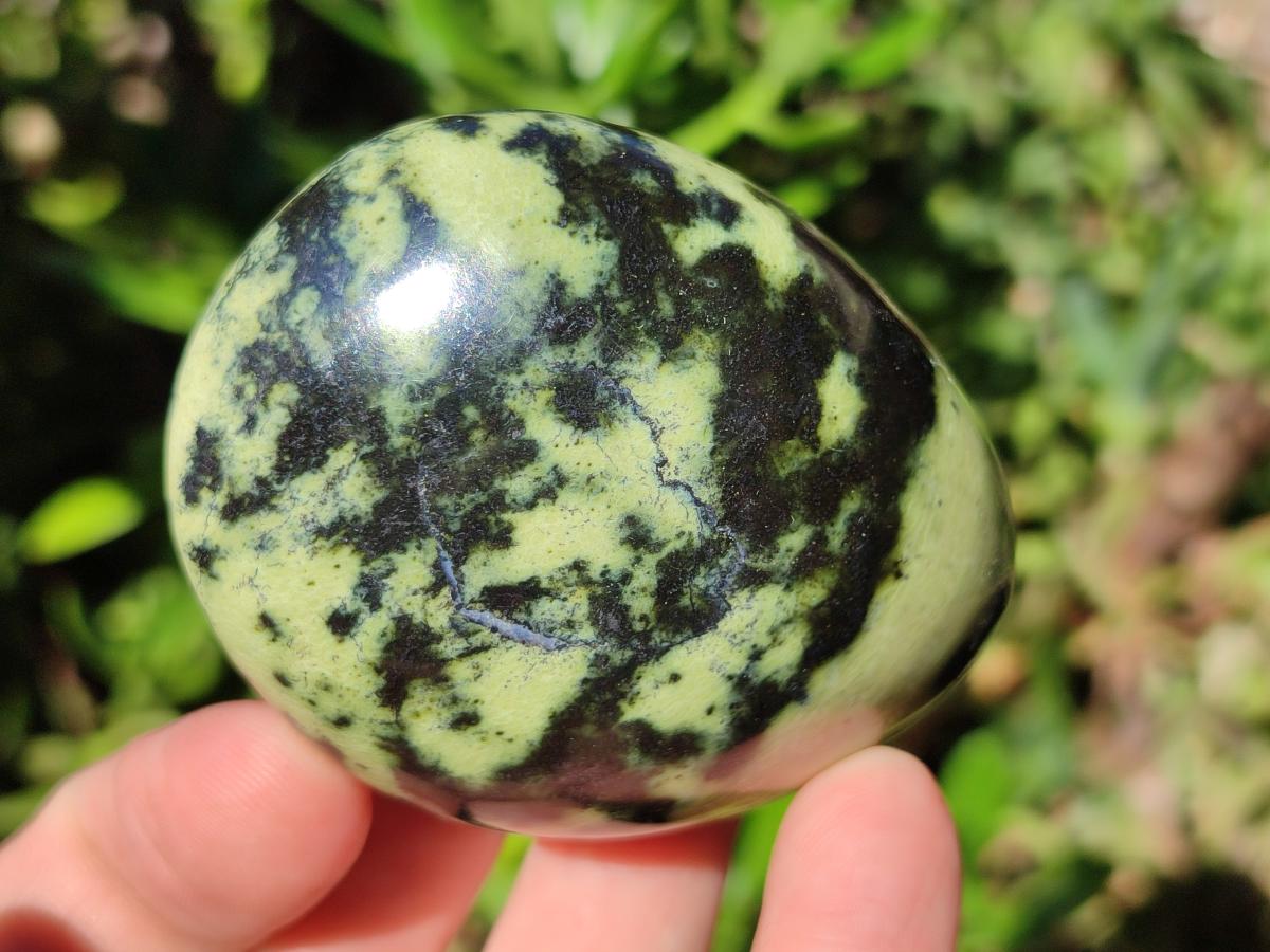 Polished Leopard Stone Palm Stones x 1 From Zimbabwe - Toprock Gemstones and Minerals 