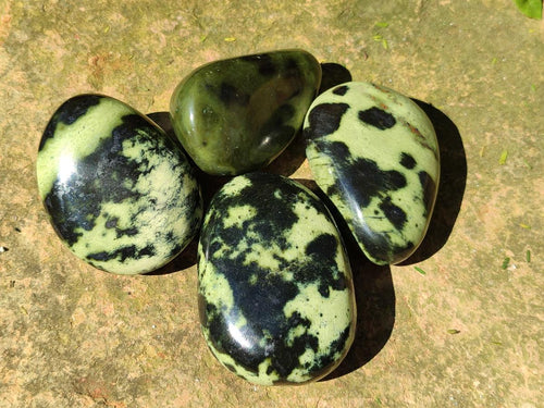 Polished Leopard Stone Palm Stones x 1 From Zimbabwe - Toprock Gemstones and Minerals 