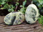Polished Leopard Stone Palm Stones x 1 From Zimbabwe - Toprock Gemstones and Minerals 