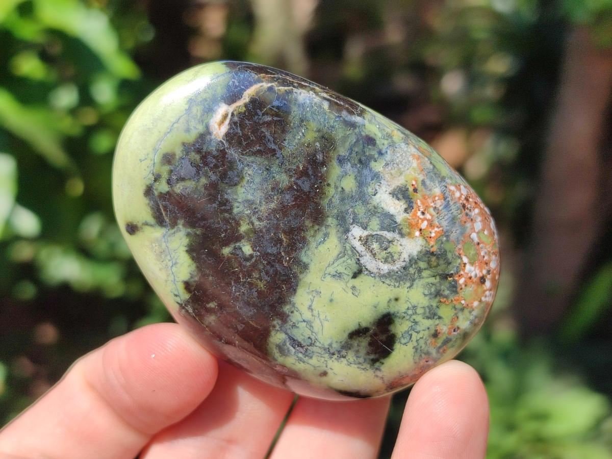 Polished Leopard Stone Palm Stones x 1 From Zimbabwe - Toprock Gemstones and Minerals 