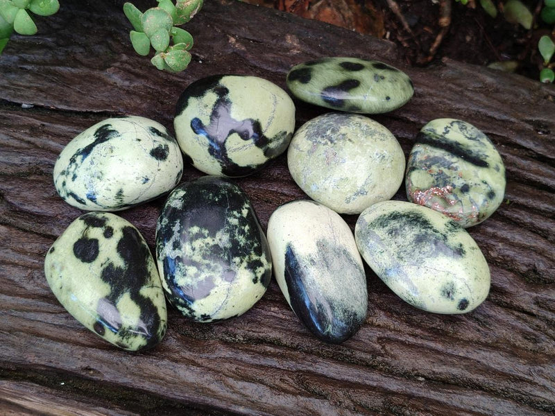 Polished Leopard Stone Palm Stones x 1 From Zimbabwe - Toprock Gemstones and Minerals 