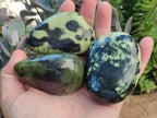 Polished Leopard Stone Palm Stones x 1 From Zimbabwe - Toprock Gemstones and Minerals 