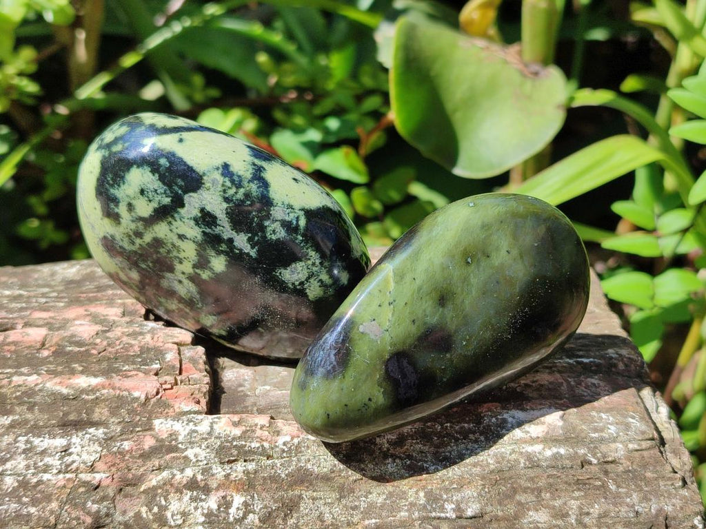 Polished Leopard Stone Palm Stones x 1 From Zimbabwe - Toprock Gemstones and Minerals 
