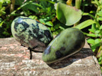 Polished Leopard Stone Palm Stones x 1 From Zimbabwe - Toprock Gemstones and Minerals 