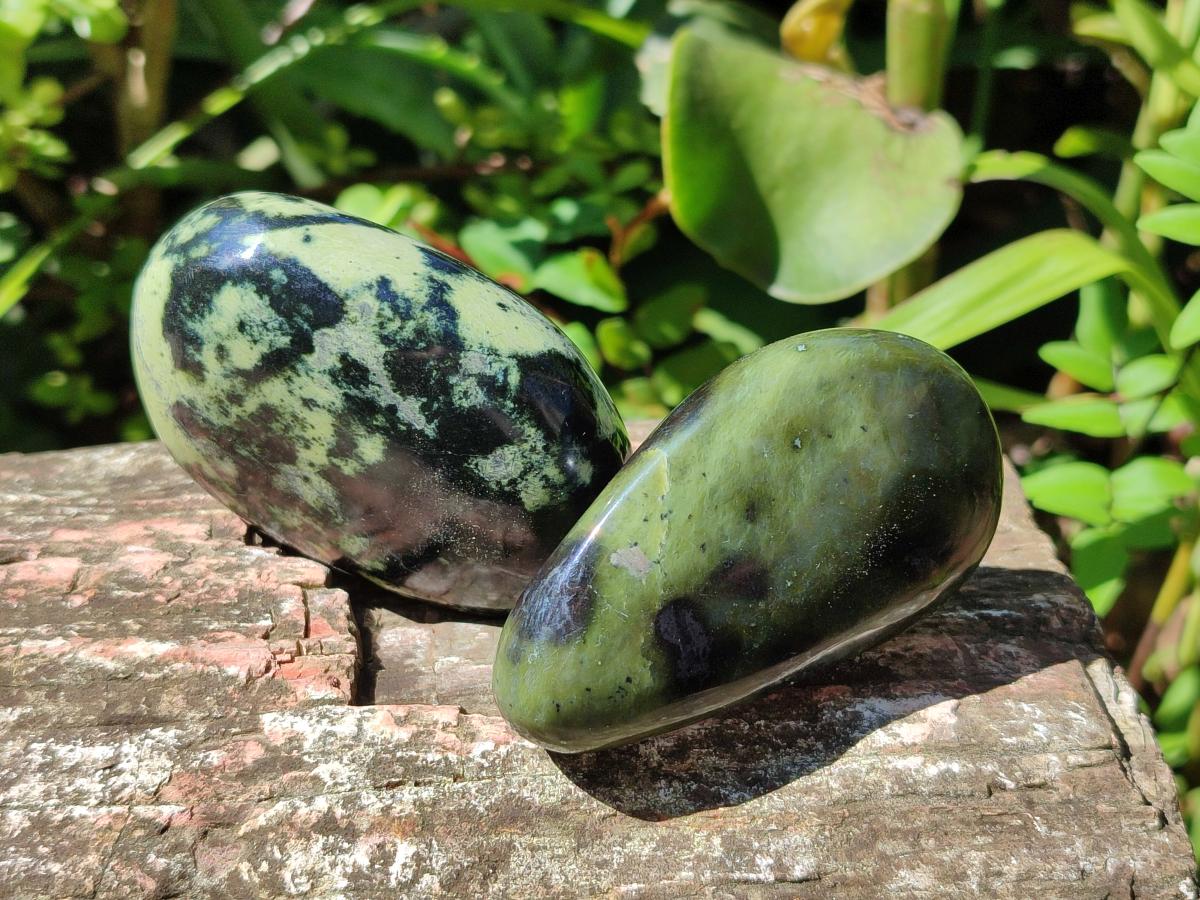 Polished Leopard Stone Palm Stones x 1 From Zimbabwe - Toprock Gemstones and Minerals 