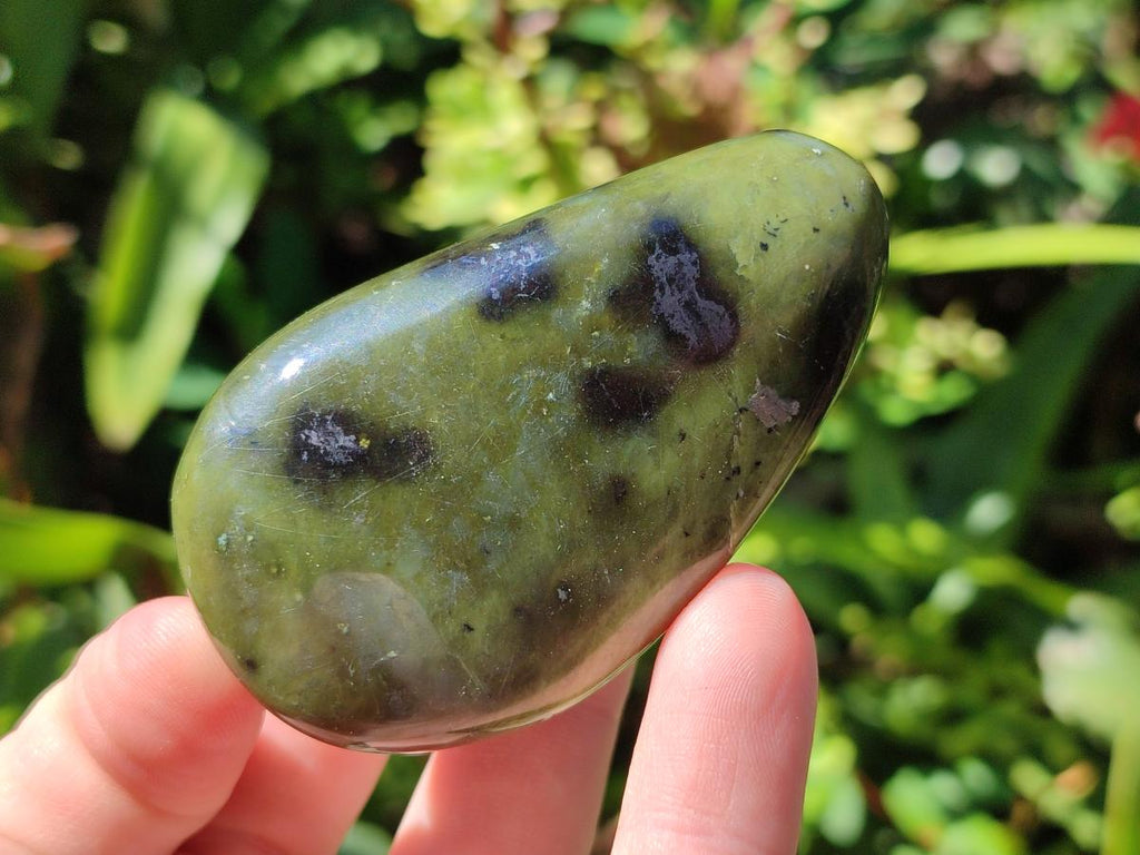 Polished Leopard Stone Palm Stones x 1 From Zimbabwe - Toprock Gemstones and Minerals 