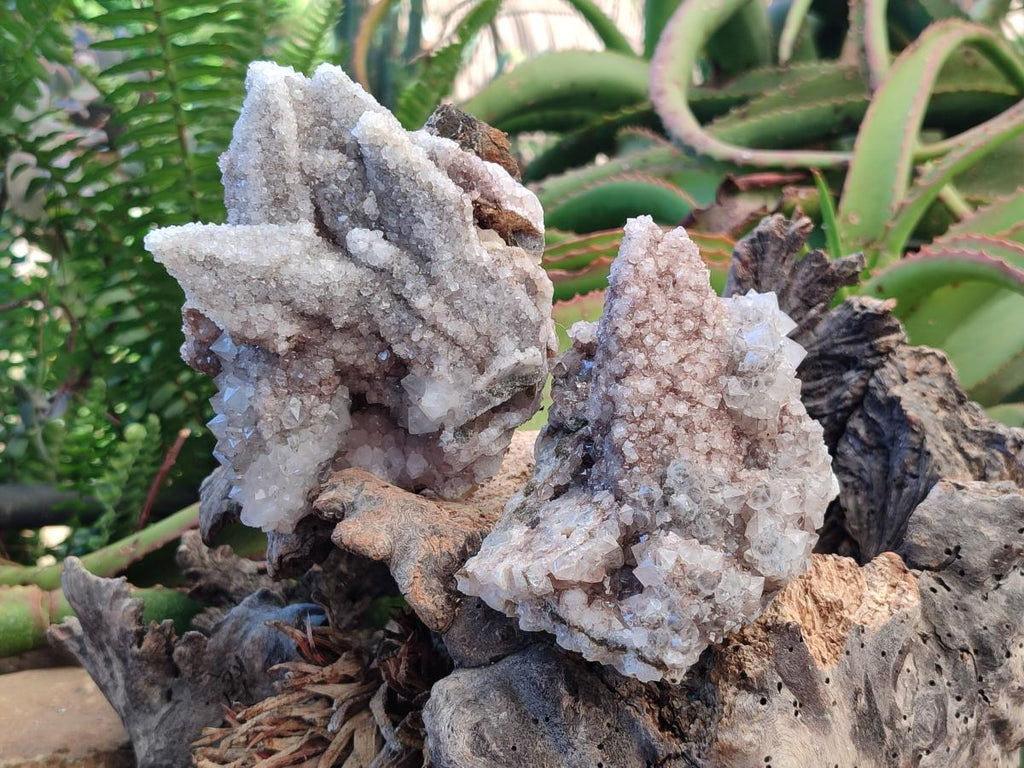 Natural Drusy Cabinet Lesotho Quartz and Calcite Cluster Specimens x 2 From Albert's Mountain, Lesotho - Toprock Gemstones and Minerals 