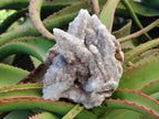 Natural Drusy Cabinet Lesotho Quartz and Calcite Cluster Specimens x 2 From Albert's Mountain, Lesotho - Toprock Gemstones and Minerals 