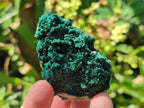 Natural Rare Crystalline Malachite Specimens x 6 From Tenke Fungurume, Congo - Toprock Gemstones and Minerals 