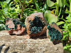 Natural Rare Crystalline Malachite Specimens x 6 From Tenke Fungurume, Congo - Toprock Gemstones and Minerals 
