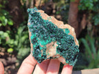 Natural Rare Crystalline Malachite Specimens x 6 From Tenke Fungurume, Congo - Toprock Gemstones and Minerals 