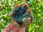 Natural Rare Crystalline Malachite Specimens x 6 From Tenke Fungurume, Congo - Toprock Gemstones and Minerals 