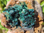 Natural Rare Crystalline Malachite Specimens x 6 From Tenke Fungurume, Congo - Toprock Gemstones and Minerals 