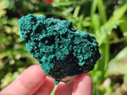 Natural Rare Crystalline Malachite Specimens x 6 From Tenke Fungurume, Congo - Toprock Gemstones and Minerals 