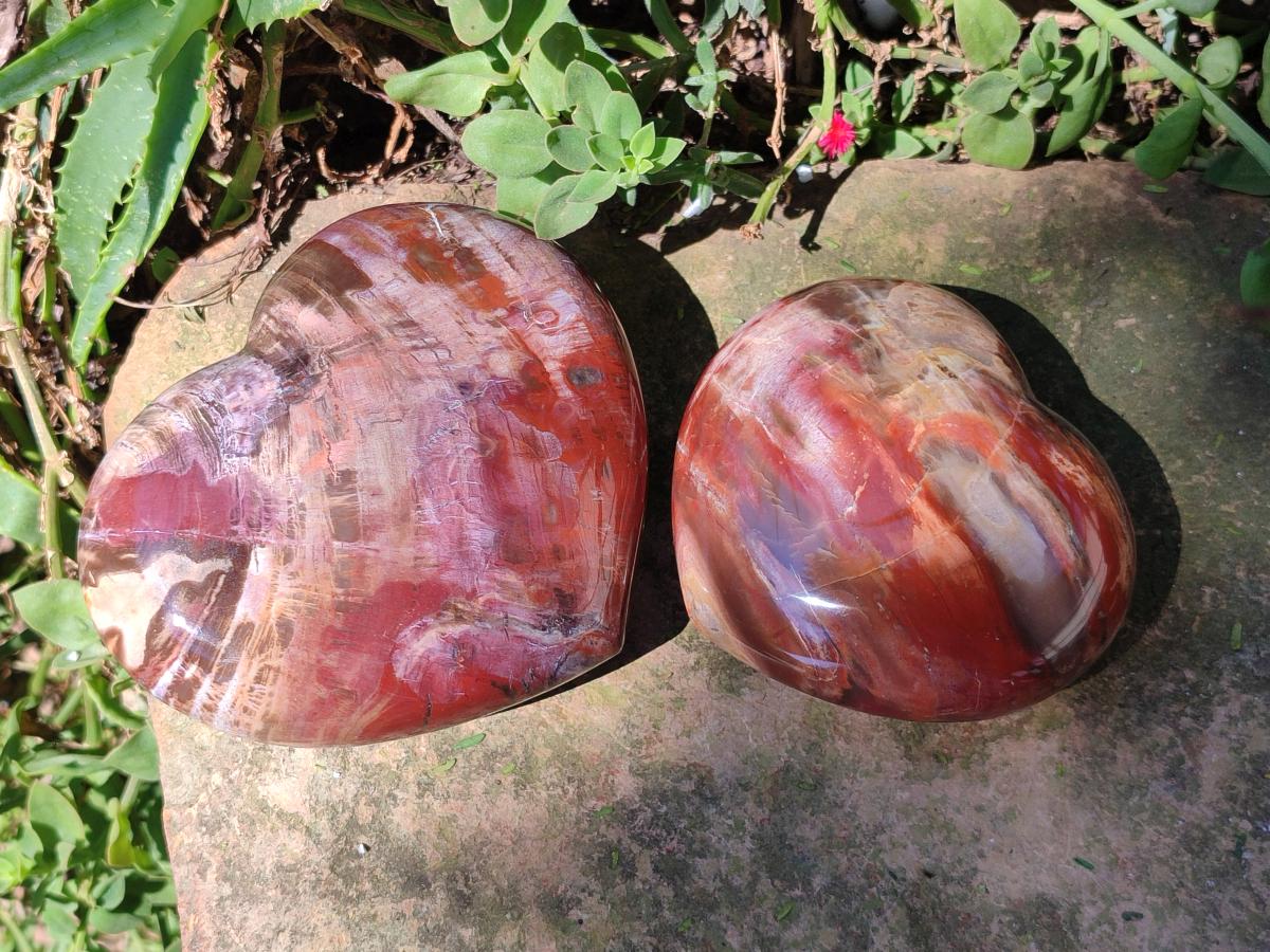 Polished Red Podocarpus Petrified Wood Hearts x 2 From Mahajanga, Madagascar - Toprock Gemstones and Minerals 