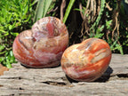 Polished Red Podocarpus Petrified Wood Hearts x 2 From Mahajanga, Madagascar - Toprock Gemstones and Minerals 