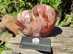 Polished Red Podocarpus Petrified Wood Hearts x 2 From Mahajanga, Madagascar - Toprock Gemstones and Minerals 
