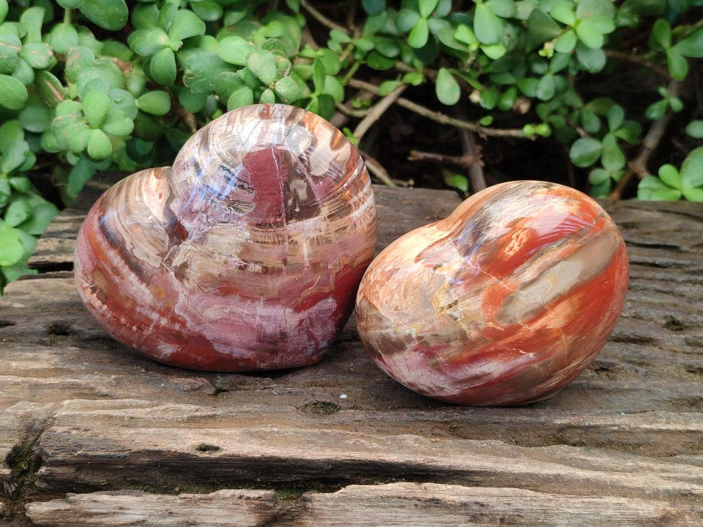 Polished Red Podocarpus Petrified Wood Hearts x 2 From Mahajanga, Madagascar - Toprock Gemstones and Minerals 